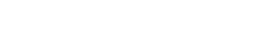 Nasiri & Partners Verzekeringen